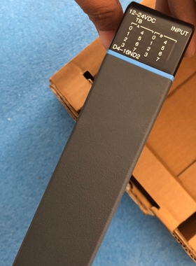 INPT     D4-16ND2  12-24VDC