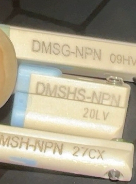 亚德克磁性件DMSG-NPN、DMSHS-NPN、DMSH-NPN