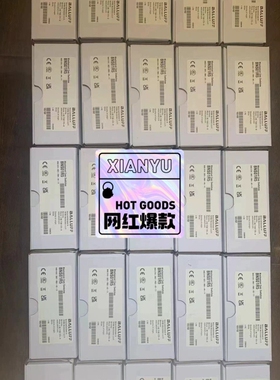 巴鲁夫限位开关：BNS01R5 (BNS 819-B02-R议价