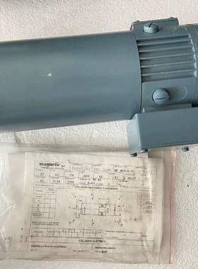 BR 60M30/17 inagnetic伺服电机