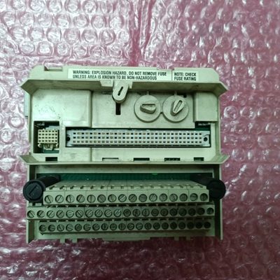 【议价】ABB  3BSE013234R1  TU830V1