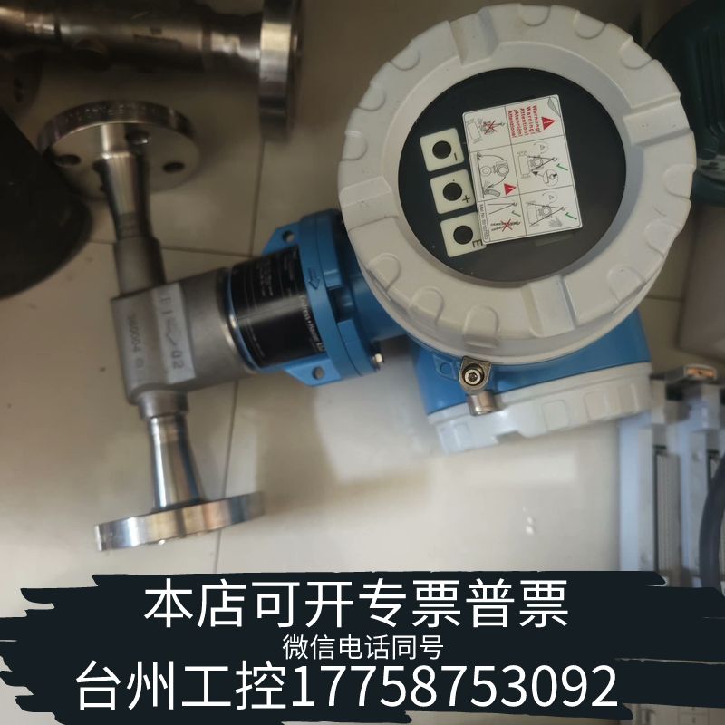 台州E+H 热式流量计 65F15-AE2A   2019年