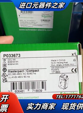 欠压线圈（380V)  P033673议价