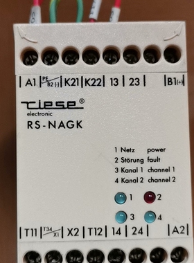 【议价】CIESE安全继电器RS-NAGK