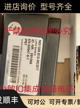 安士能安全开关NG1SM-510-MC577/ CET3-AR-CRA-CH-50X-SG-110906