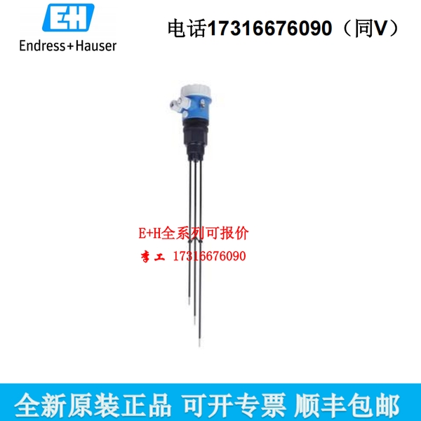E+H数字电极CPS71D-7TP2G卫生应用场合