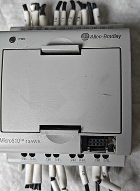 AB罗克韦尔电源模块micro810 2080-LC10-1【议价】