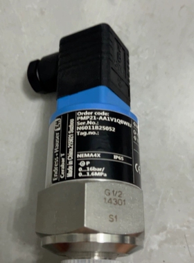 全新无包装E+H压力变送器PMC21-AA1U1PBWBJ