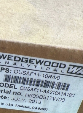 E+H OUSAF11-AA210A1A10C  WEDGE【议价】