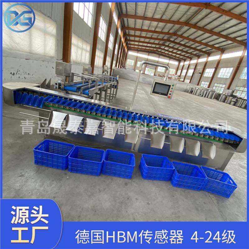 大连鞭鱼自动分选机肥带重量分拣秤牙带鱼称重选鱼机器黄花,厨房电器,其他商用厨电,淘宝优惠券,粉丝福利购,淘宝优惠卷