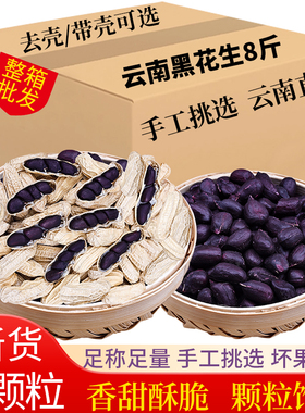 2025新货云南黑花生带壳晒干生黑皮黑花生米原味普洱特产商用批发