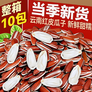 2025新货云南红皮瓜子原味甜糯水果带壳生葵花籽零食坚果年货批发