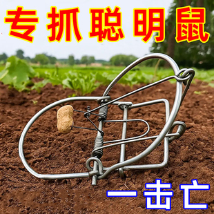 老鼠夹捕鼠器地夹子捕鼠板夹家用室内鼠笼克星神器抓捕鼠器抓鼠