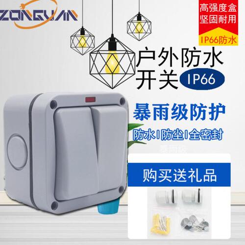 家用户外防水开关防雨商场IP66明装浴室双开双控两位220V香港20A