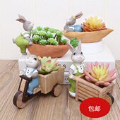 饰品摆件杂货铺花器 多肉花盆客厅办公室桌面装 个性 兔子动物个性