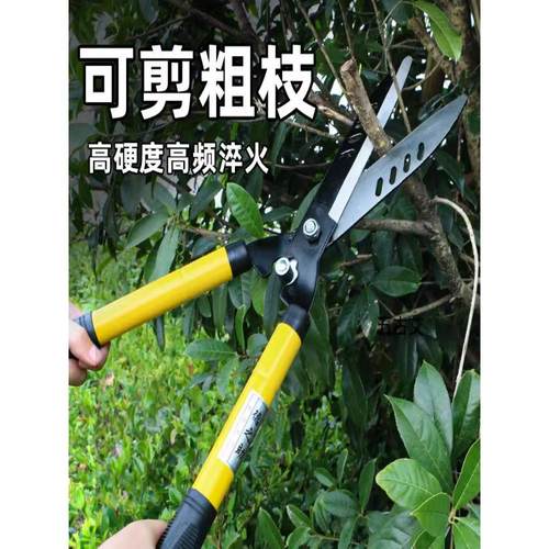 草坪专修剪林绿化修剪刀园林修枝剪苗圃修剪工具茶树花树茶叶树枝