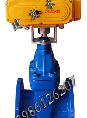 香港富莱斯软密封电动法兰闸阀 弹性座封闸阀 Z945X-16Q FOSD-30