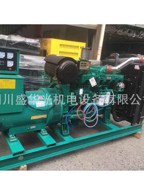 广西股份300W柴油发电机组YC6MJ480L-D20无刷四川发电机全铜