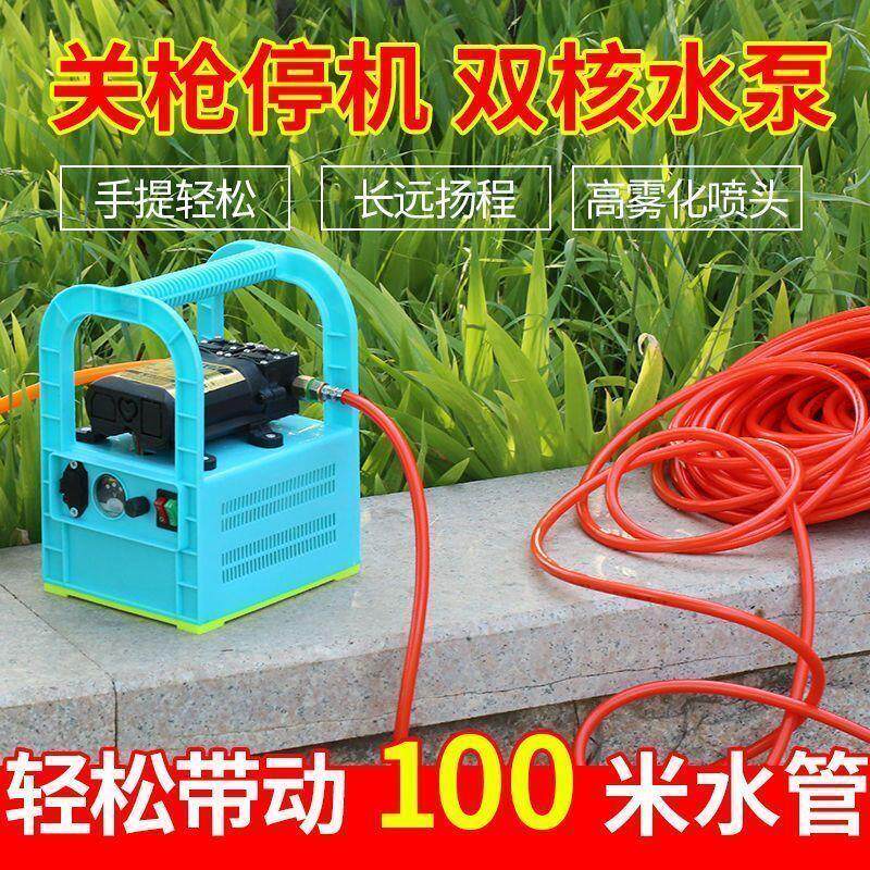 农用电动手提式喷雾器高压果树打药机充电便携式抽水泵浇地洗车机