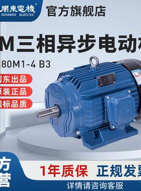 闽东电机EM小型高速三相异步电动机380V4级家用台钻孔振动器马达