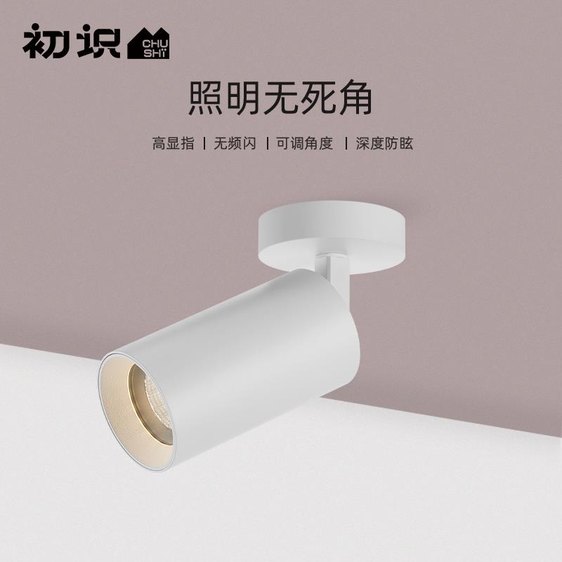 初识灯饰 led射灯明装cob天花灯客厅背景墙照画灯暗装过道聚光灯