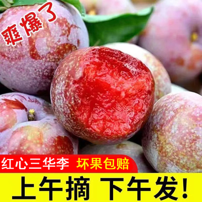 新鲜三华李5斤信宜钱排红心李子孕妇水果现摘酸脆甜云南农家当季