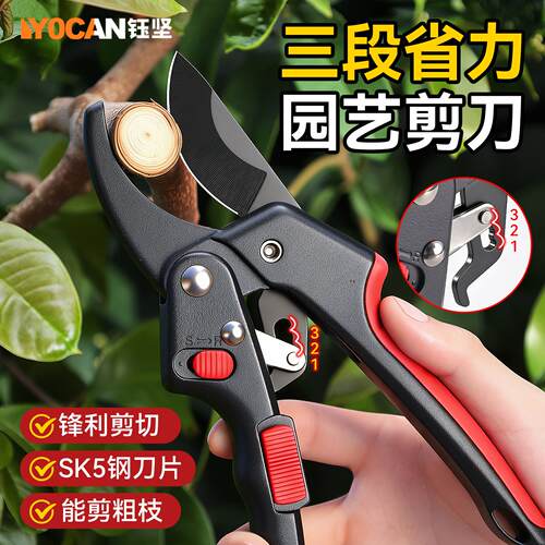 多功能可调节园艺修枝剪 高效双档省力树枝摘果专用剪刀修枝剪