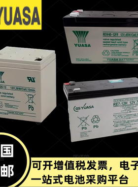 YUASA汤浅12V蓄电池NPW36-12 REW28-12 RE7-12H NPW45-12 RE5-12