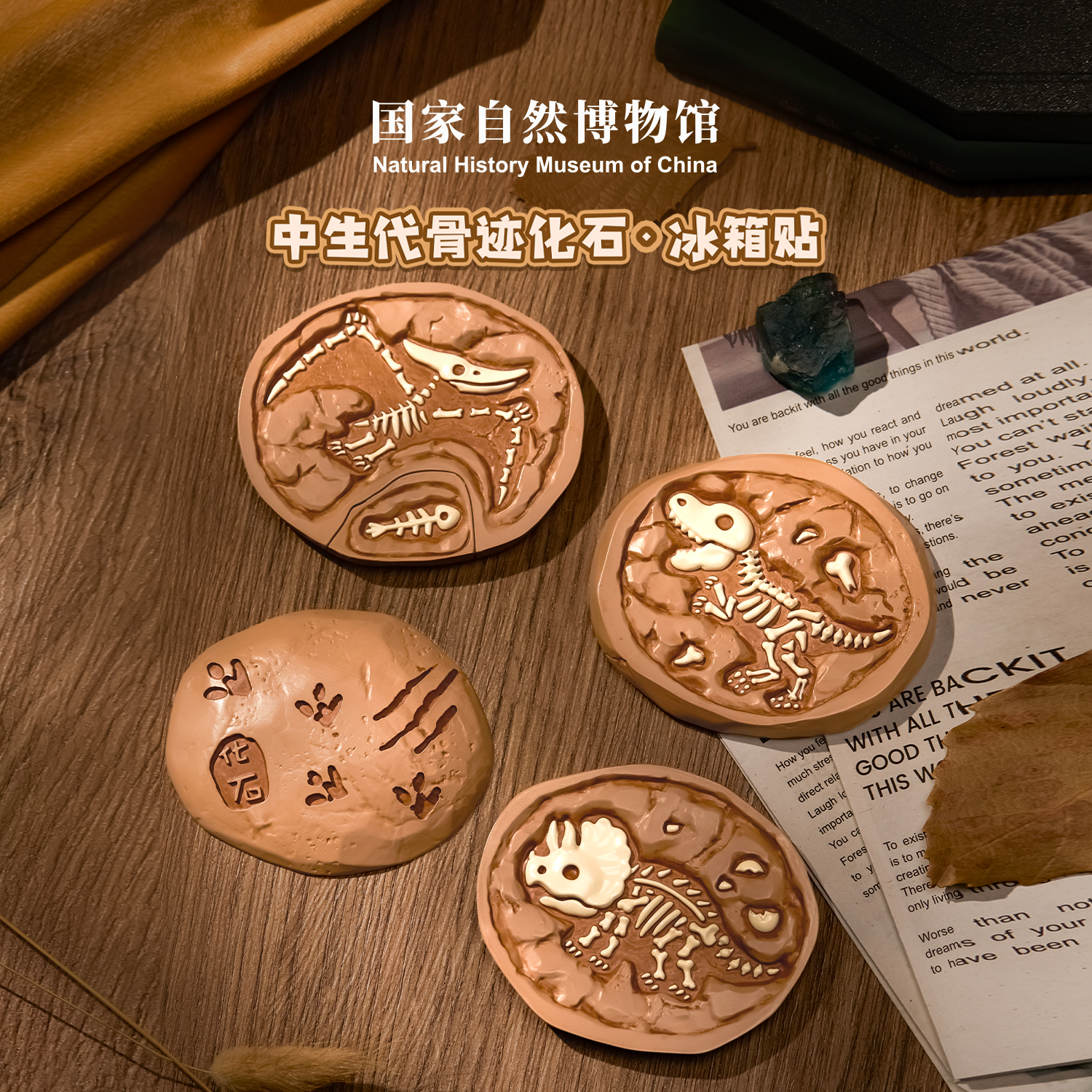 国家自然博物馆 中生代骨迹多层冰箱贴恐龙仿化石儿童生日礼物