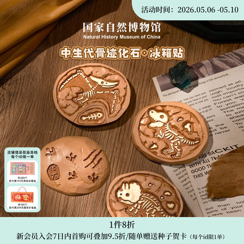 国家自然博物馆中生代骨迹多层冰箱贴恐龙仿化石生日新年马年礼物