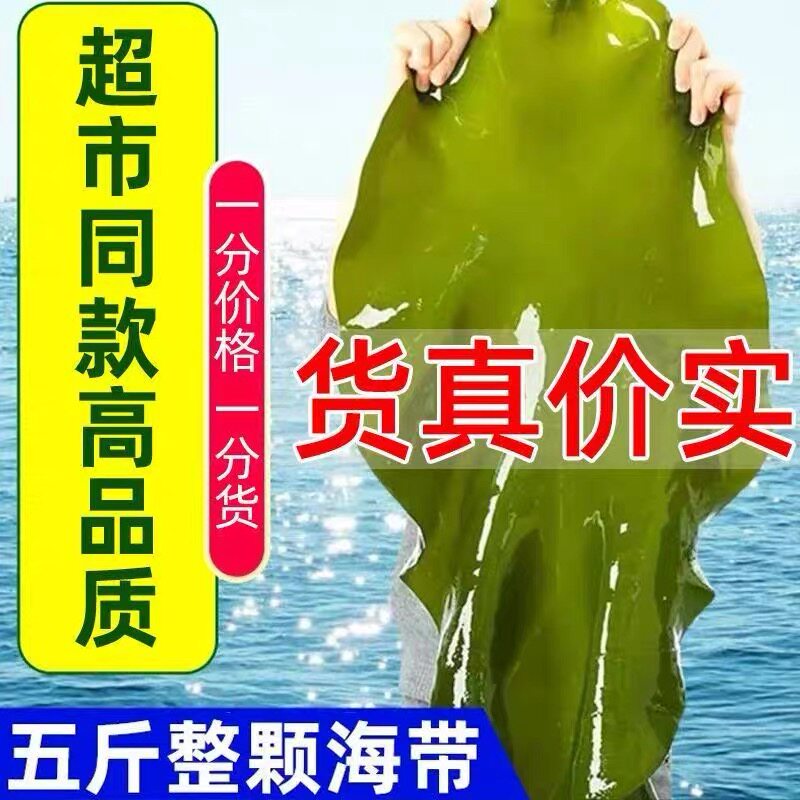 大连盐渍整颗海带5斤非干货