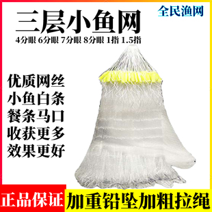 4分眼三层小鱼网半指渔网捕白条粘B网抓餐条丝网马口沙丁678分沉