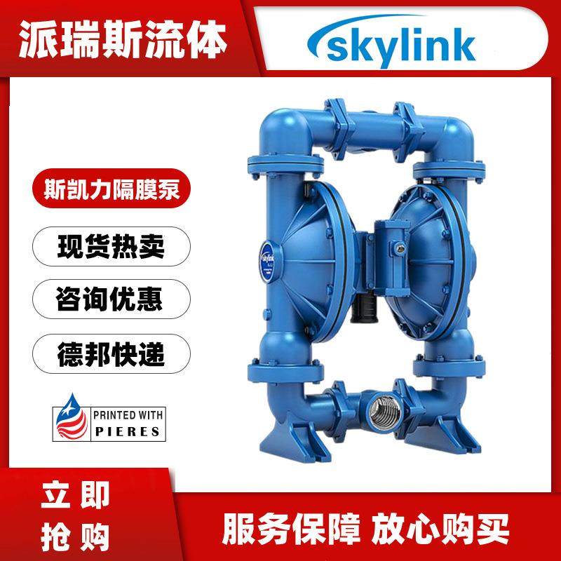 气动隔膜泵LS50CS-AA-SP-SP-SP-00铸铁污水运输泵2寸DN50