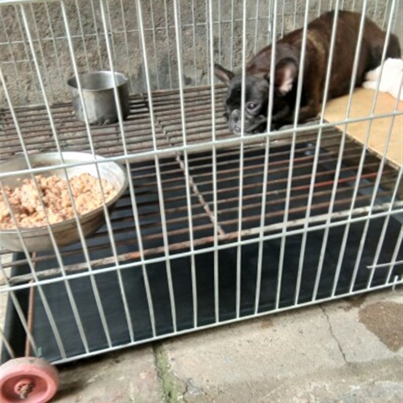 包邮】厚宠物笼子托盘狗笼子拖盘猫笼子底盘兔笼粪盘花盆底盘接水