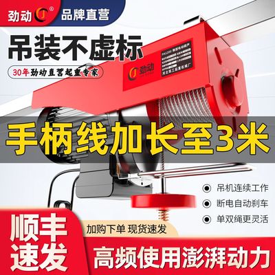 进口品质微型电动葫芦220