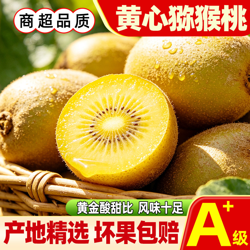 鹤仙人黄心猕猴桃现摘多汁图片