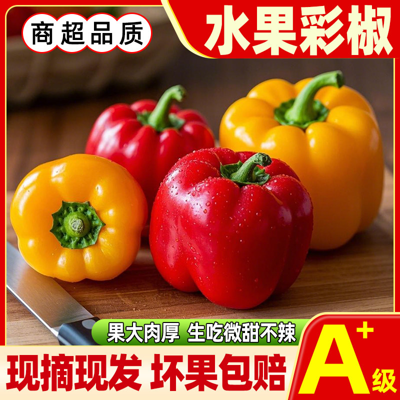 新鲜红黄水果彩椒生吃新鲜彩椒灯笼椒甜椒绿色圆椒彩色菜椒现摘