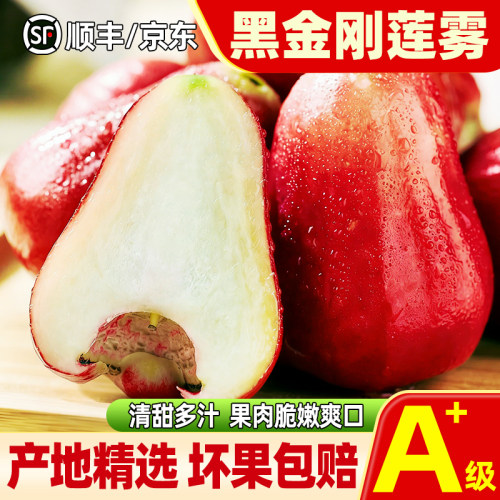 海南黑金刚莲雾清甜多汁大果