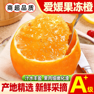 【新鲜速发】四川爱媛38号红美人果冻橙柑橘皮薄多汁新鲜套袋果