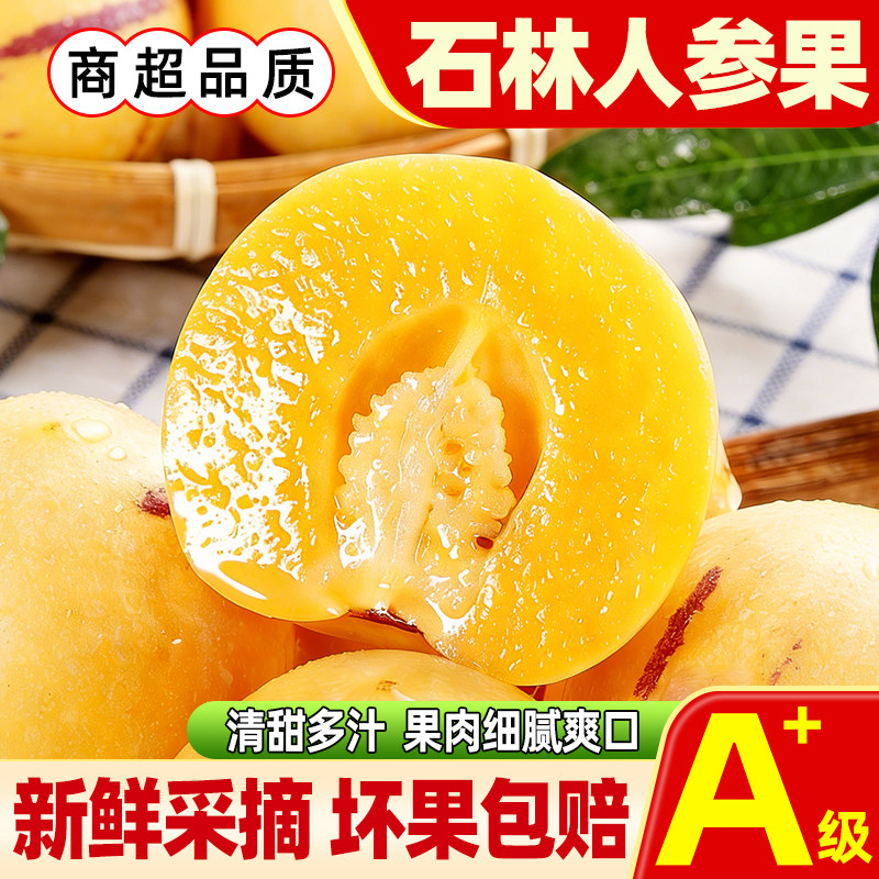 云南石林人参果新鲜水果当季七彩黄肉熟肉大果人生果圆果树上熟