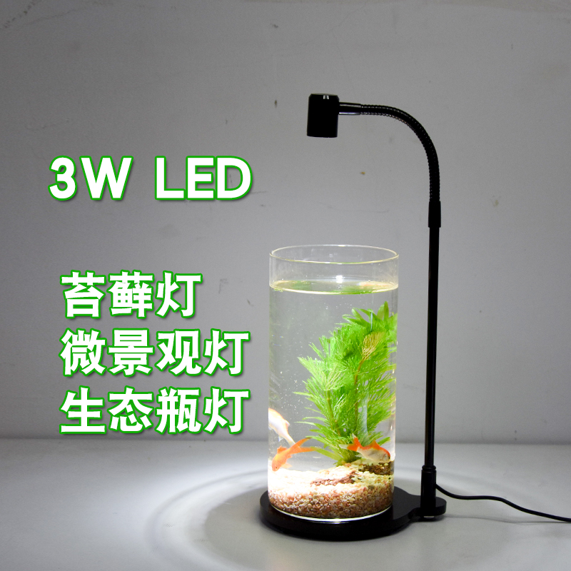 物生长多肉全光谱花卉育苗绿植上色防徒盆景微景观鱼缸补光灯射灯