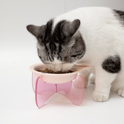 芝小麻年糕童趣陶瓷猫碗合集高脚猫碗保护颈椎猫粮碗单耳碗宠物碗