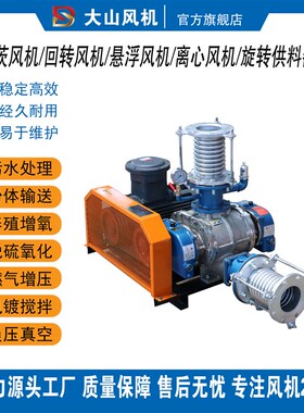 章丘罗茨鼓风机DSSR80气力输送脱硫脱硝氧化曝气污水处理真空泵