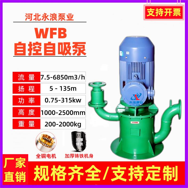 厂家现货直销WFB无密封自控自吸清水泵无泄漏无堵塞自吸泵排污泵