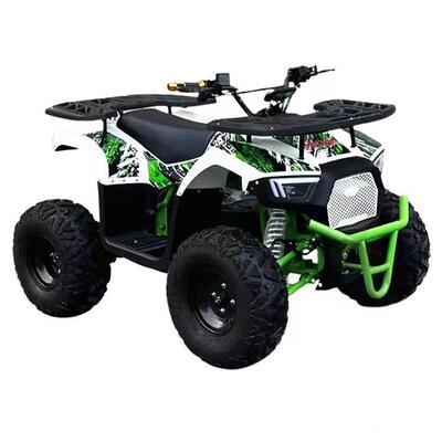 60V1000W电动沙滩 车全地形 ATV 雪橇车 摩托 卡丁车 雪地摩托车