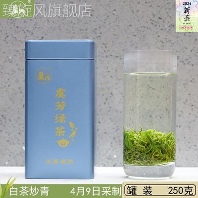 常熟虞芳茶业2024年新茶叶虞山工艺绿茶白茶炒青