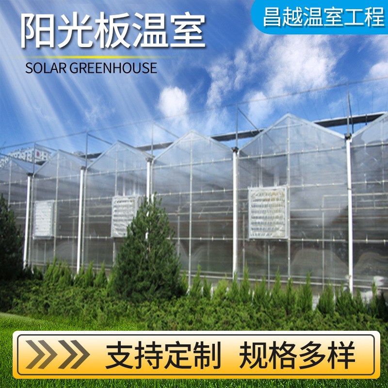 新品设计建造 大型连栋实用型pc阳光板温室大棚钢管骨架设计安装