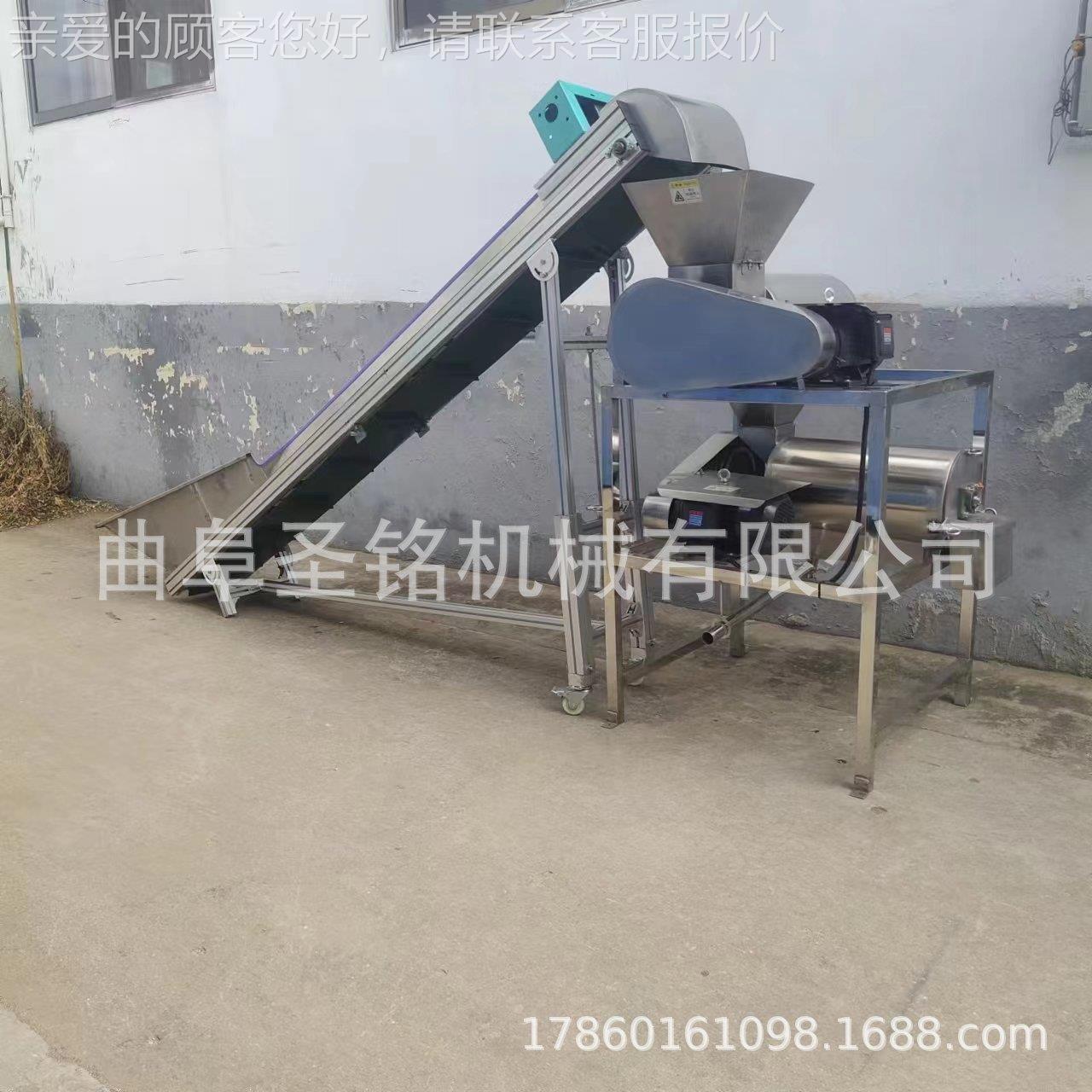 商用ERT杞去籽枸打浆 芒果双机道脱皮脱核浆机打 苹果去皮去籽一