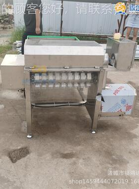 鲜带鱼切段机 大连鱼罐鲜头ZLO切设备 段鱼刀鲅鱼切段机