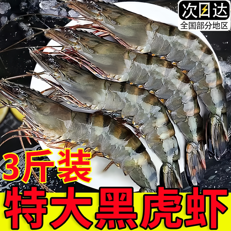 黑虎虾特大活冻老虎虾斑节虾批发